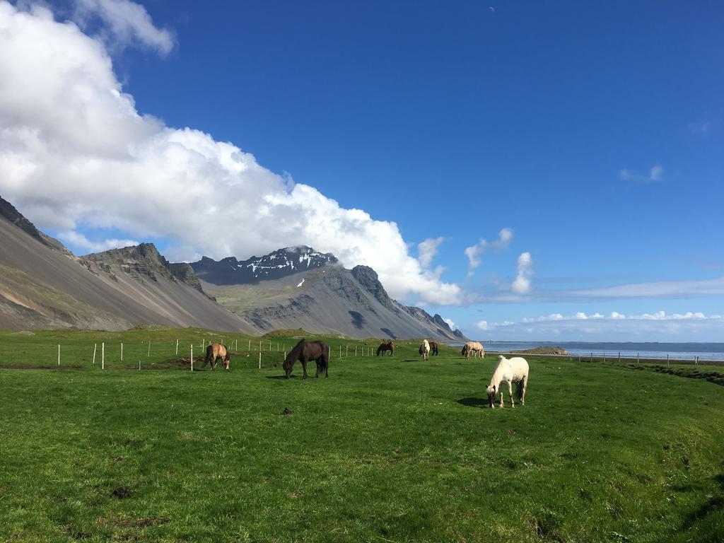 Dynjandi Guesthouse Höfn Exterior foto